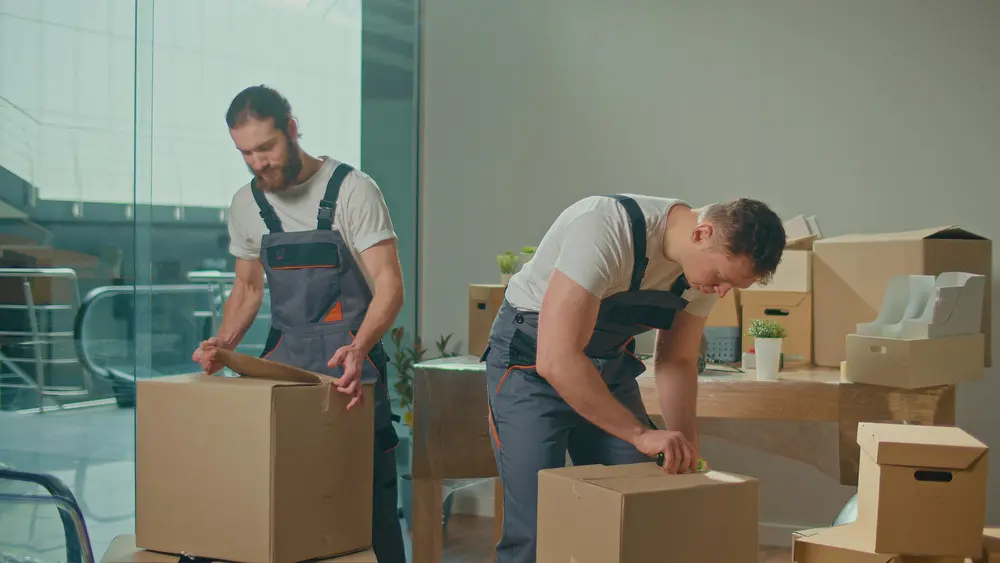 How Commercial Removalists Handle Complex Business Moving Needs?